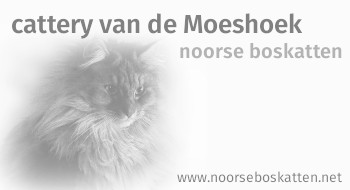 Moeshoek